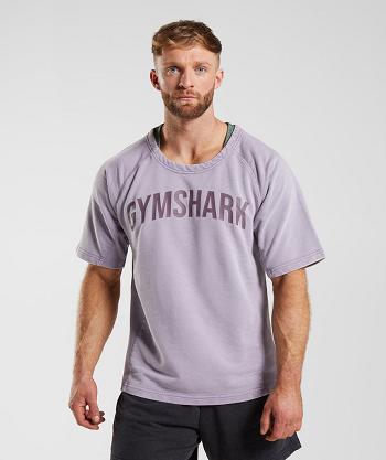 Gymshark Power Washed Rag Top Muške T Shirts Ljubičaste | HR 2344LIS